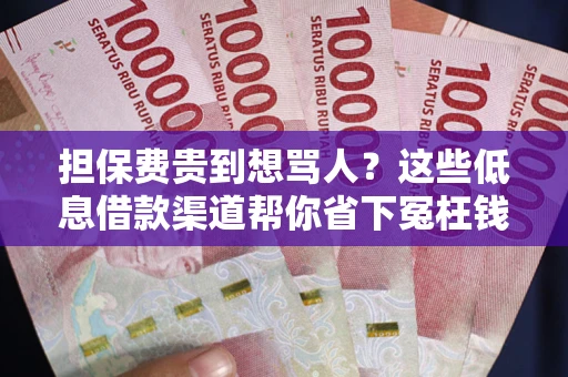 济南担保费贵到想骂人？这些低息借款渠道帮你省下冤枉钱