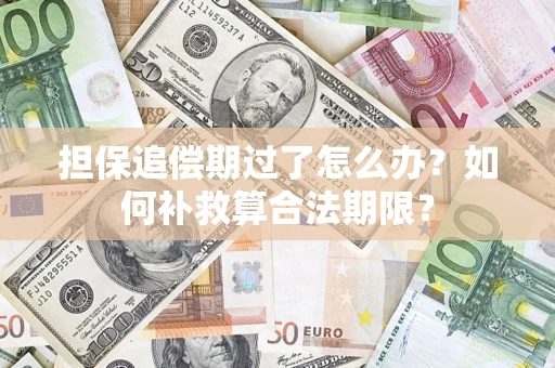 济南担保追偿期过了怎么办？如何补救算合法期限？