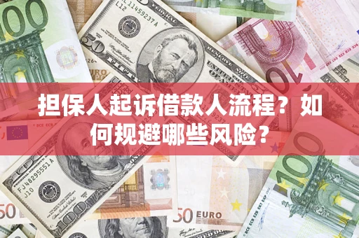 济南担保人起诉借款人流程？如何规避哪些风险？